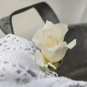 Il Giardino Di Ortensia Bientina